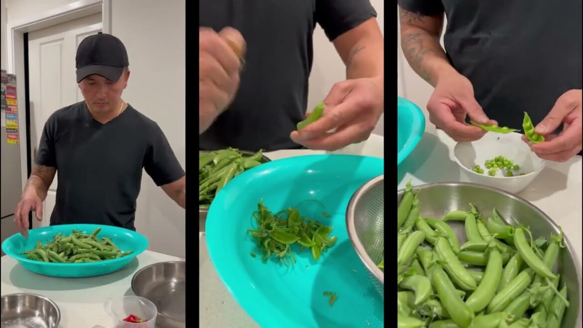 SEASONAL GARDENING PART 1 – Autumn /Winter Sugar Snap Peas SEASONAL GARDENING PART 1 - Autumn /Winter Sugar Snap Peas