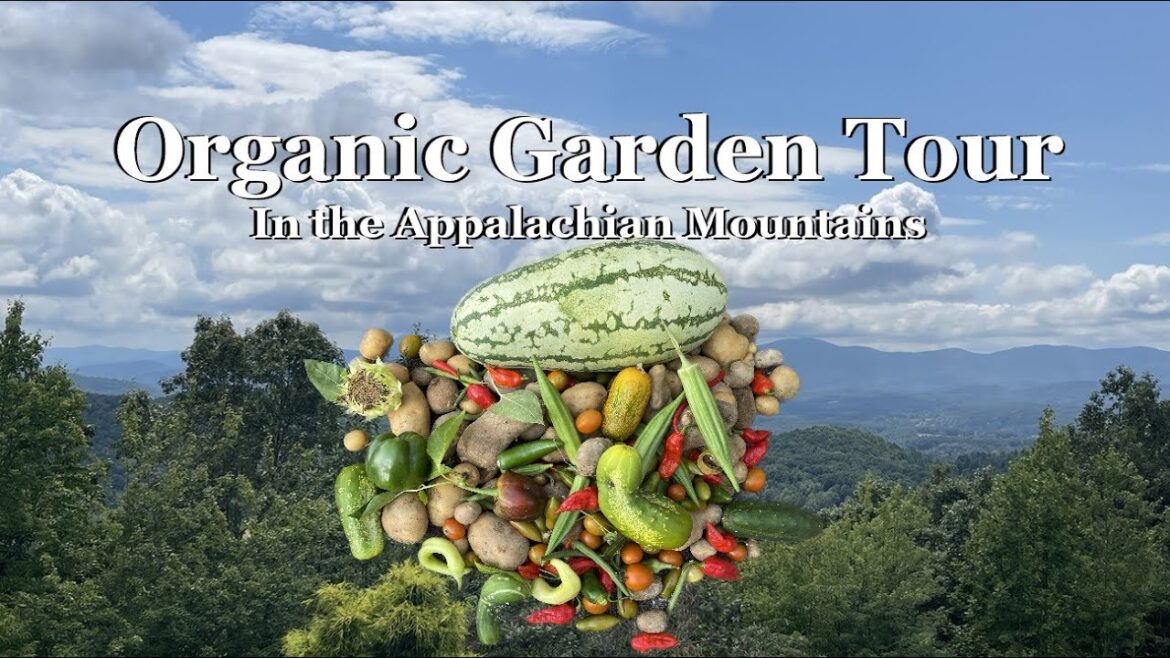 Organic Garden Tour in the Southern Appalachian Mountains Organic Garden Tour in the Southern Appalachian Mountains
