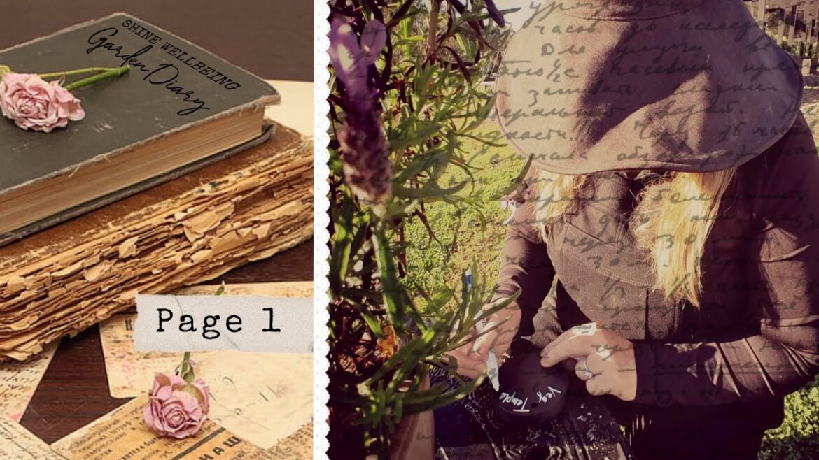 My Garden Diary Page 1 #growingveg #gardentips #vegetablegardening #growyourownfood My Garden Diary Page 1 #growingveg #gardentips #vegetablegardening #growyourownfood