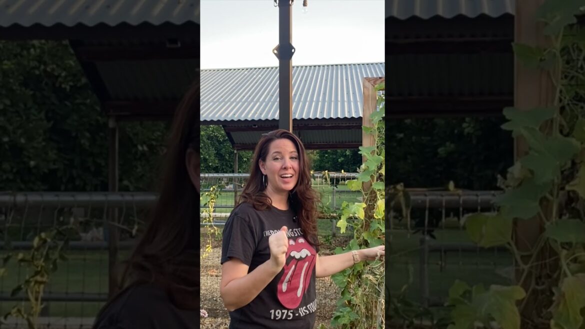 September Gardening: Prepping Raised Garden Beds & Planting Tips! September Gardening: Prepping Raised Garden Beds & Planting Tips!