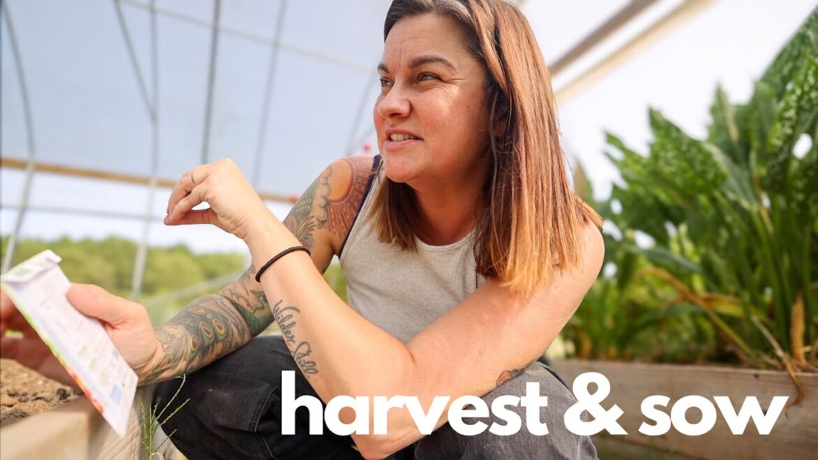 Harvest & Sow (My greatest garden joy) | VLOG