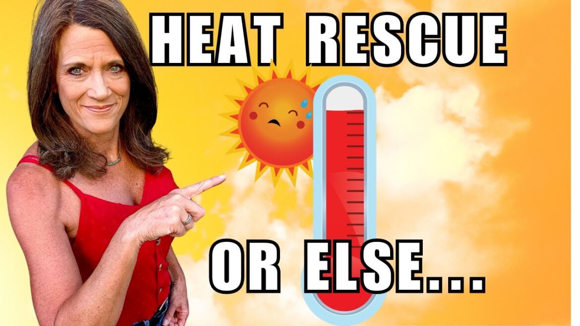 Garden Heat Wave: Recovery MUST Do’s