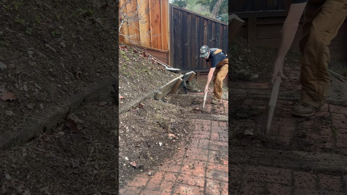Clearing A Pathway In My Customers Backyard #landscape #shorts