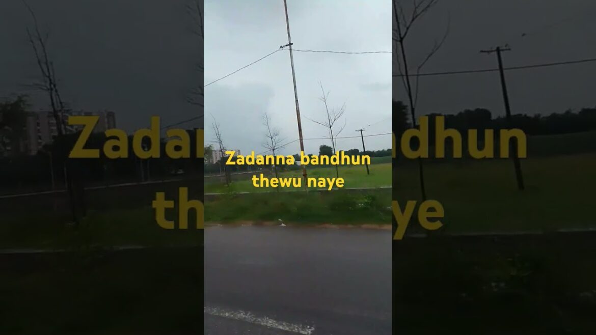 Zadanna bandhun thewu nayee #horticulture#gardening Zadanna bandhun thewu nayee #horticulture#gardening