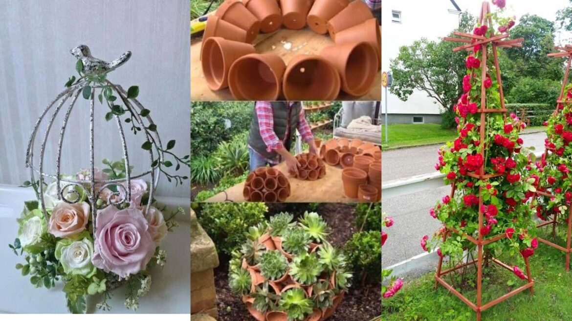 front yard flower bed,flower bed ideas for front of house,northlawn flower farm,easy wildflowers for