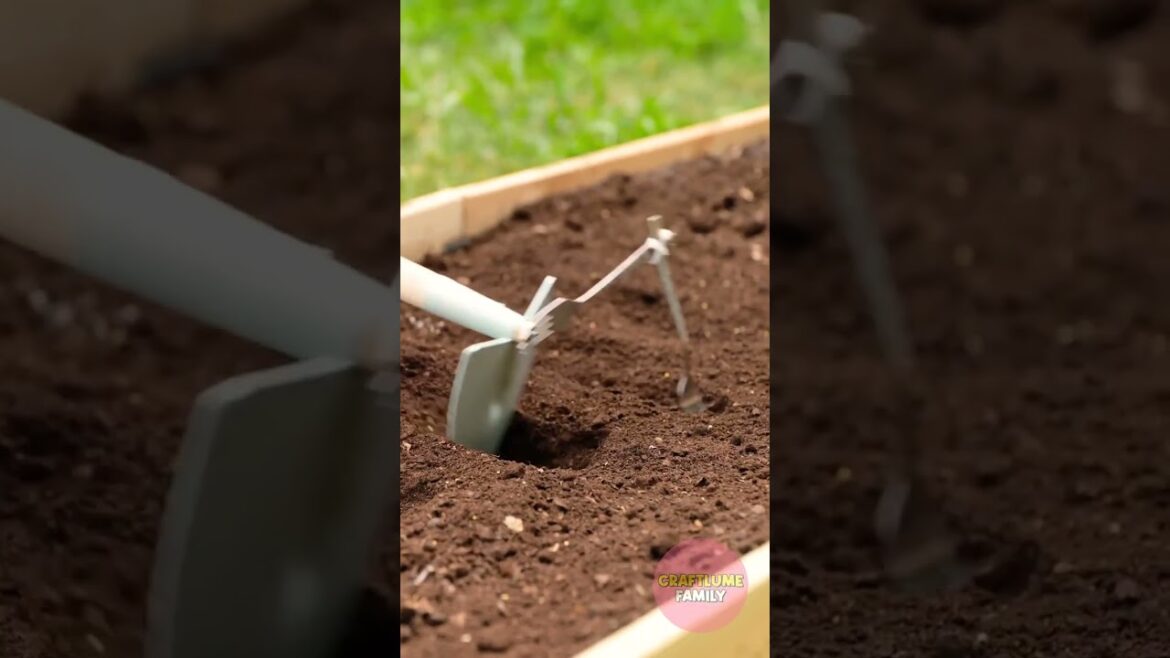 Cheap and Effective DIY Gadgets for Your Garden: Transform Your Outdoor Space!
