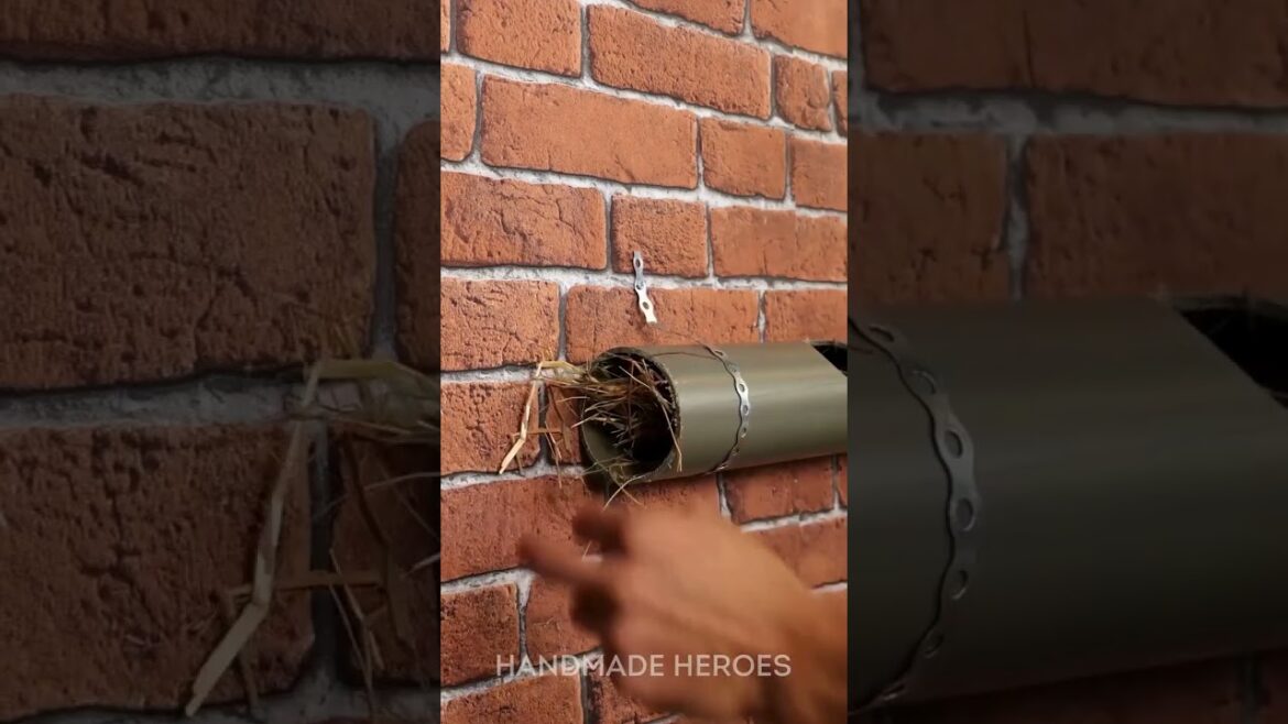 Horizontal gardening hack: Maximizing space and greenery with ease! 🌱🔧#shorts #diy #gardening #hacks Horizontal gardening hack: Maximizing space and greenery with ease! 🌱🔧#shorts #diy #gardening #hacks