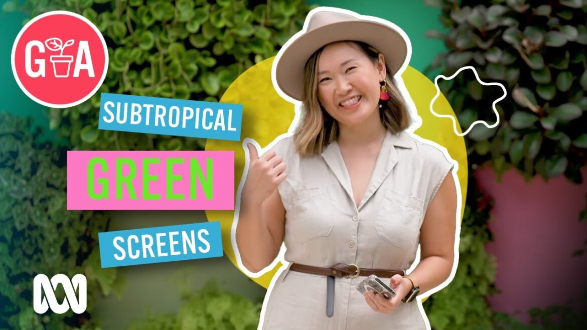 Subtropical Green Garden Screens | Garden Design & Inspiration | Gardening Australia Subtropical Green Garden Screens | Garden Design & Inspiration | Gardening Australia