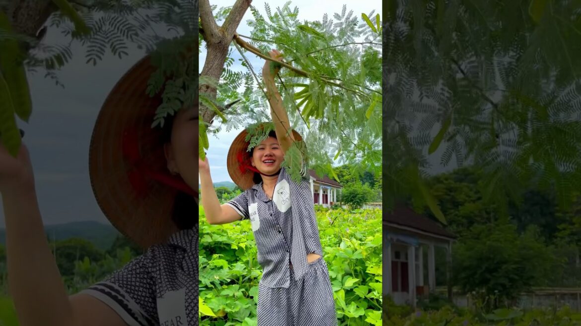 Picking fruits 🍊🍏🍑🥭🍐🍇in the garden#picking #fruit #garden #countryside #short#p102