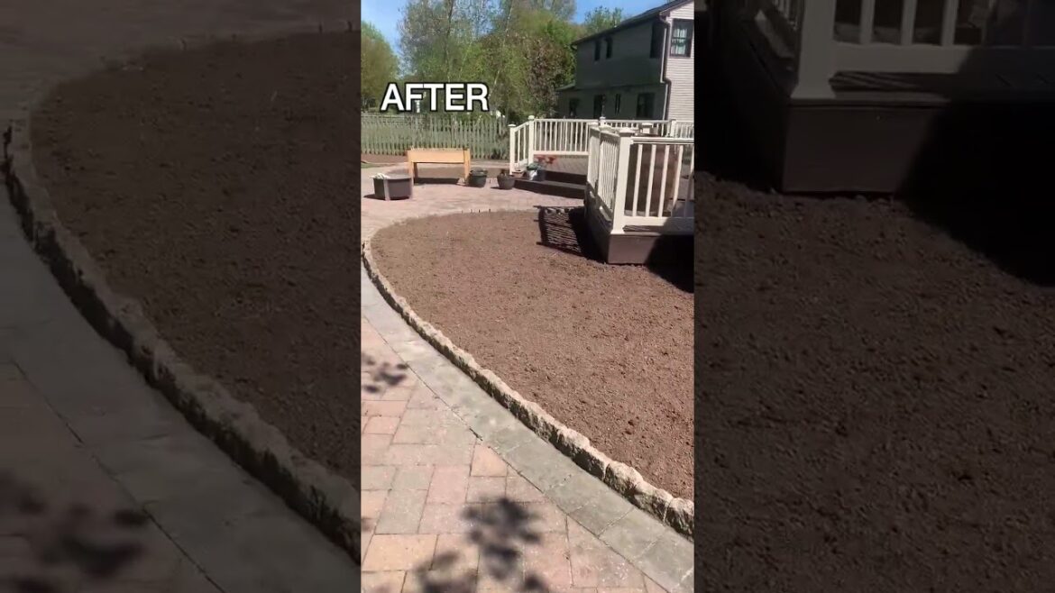 Backyard Bed Clean Out - Before And After -  #backyard #backyarddesign #landscape #plants