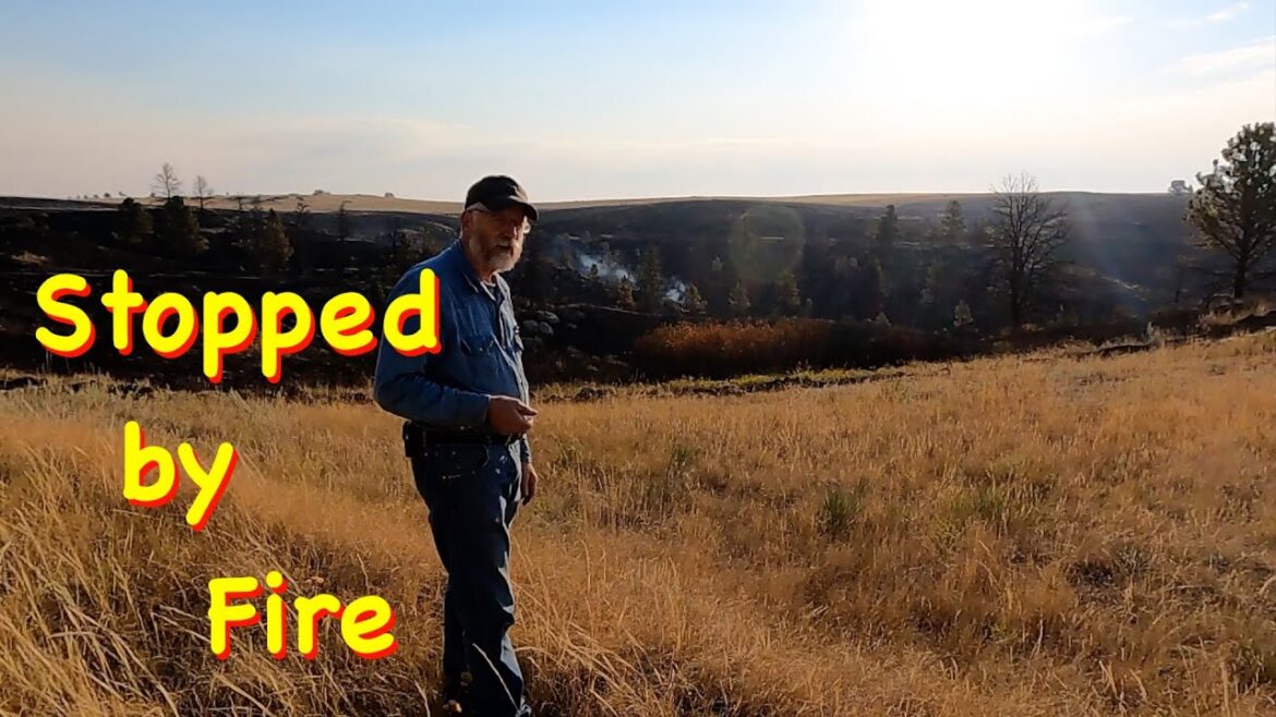 Tinder Dry Grass Fire Stopped My Plans for Today | Engels Coach Shop