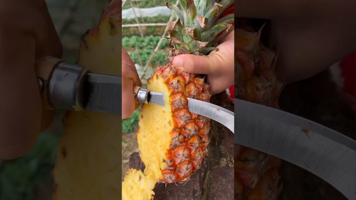 Rural Living Trends 2024: The Country Life Boom