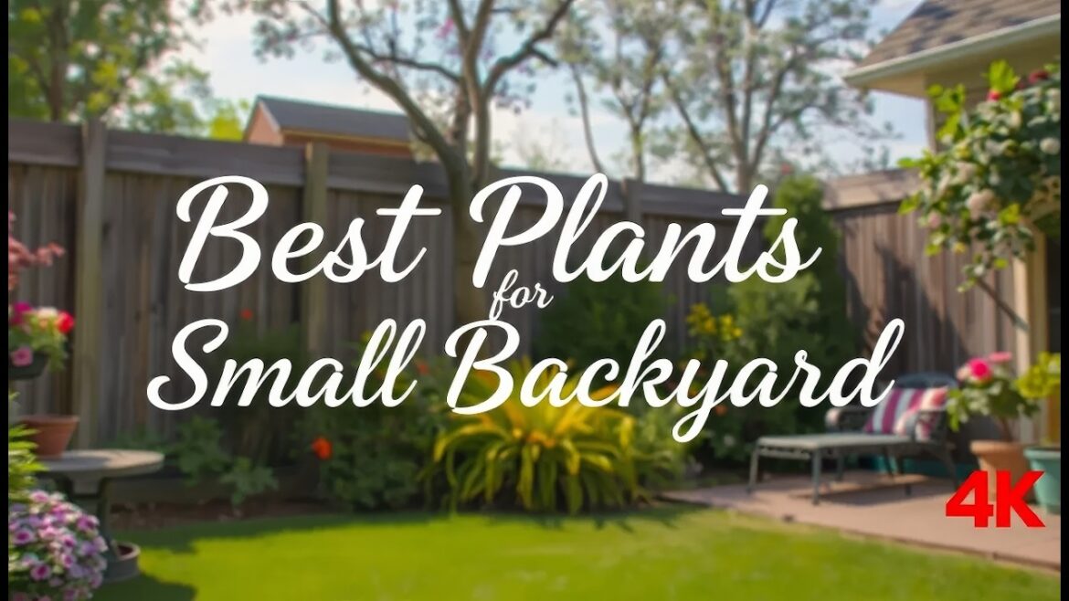 Best Plants for Small Backyard Spaces | Space-Saving Garden Ideas