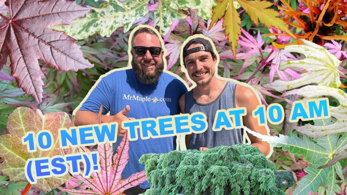 The Most Fantastic 10 New Garden Plants @ 10am! w/ Matt and Dylan! (EST)! The Most Fantastic 10 New Garden Plants @ 10am! w/ Matt and Dylan! (EST)!