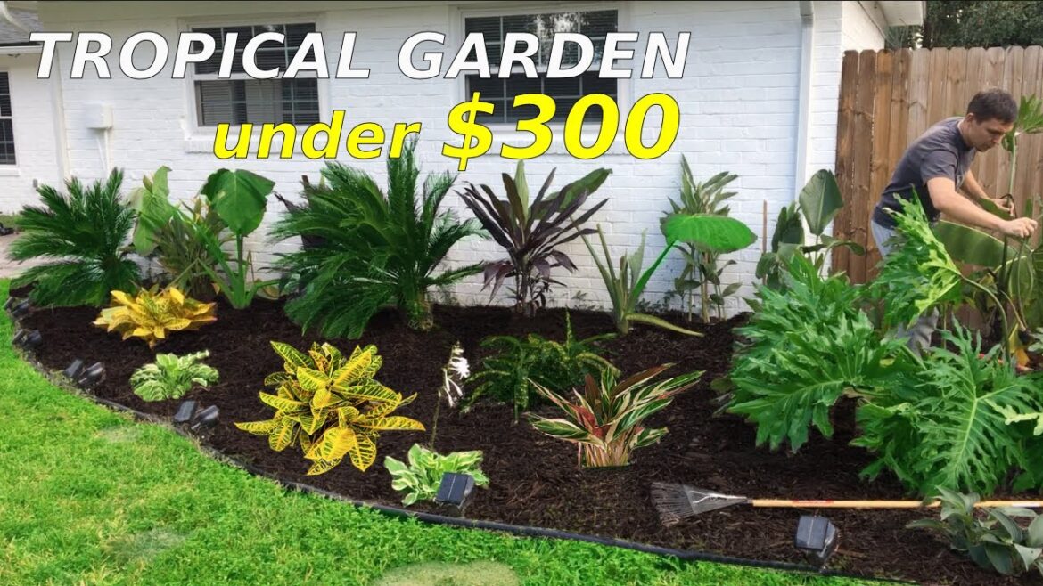 How to make a Small Tropical Garden under $300 DIY Florida, Zone 9B How to make a Small Tropical Garden under $300 DIY Florida, Zone 9B