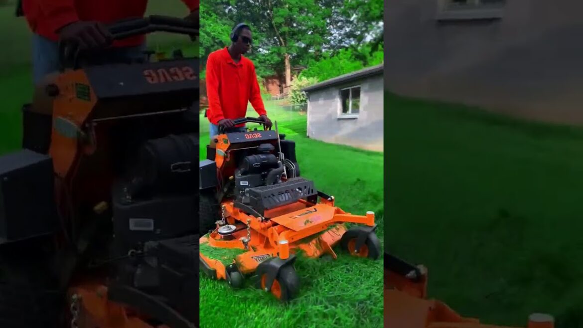 Satisfying Gardening Work π³ #garden #gardening #satisfying #cleaning #grass #lawn #viral #fyp #81 Satisfying Gardening Work π³ #garden #gardening #satisfying #cleaning #grass #lawn #viral #fyp #81