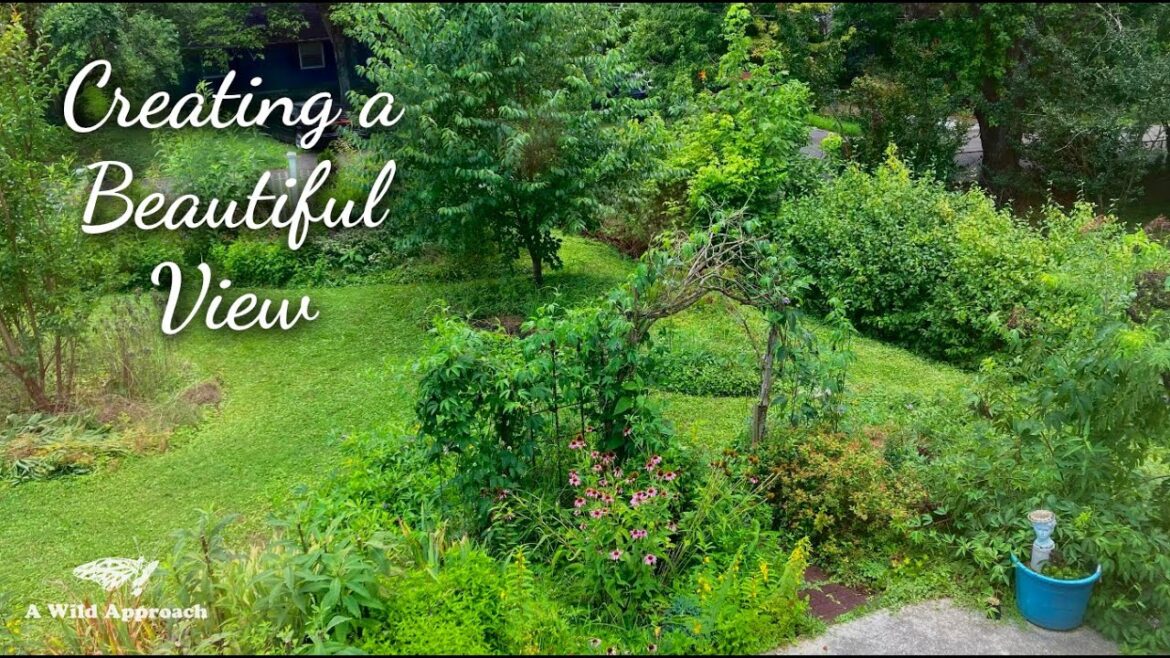 Creating a Beautiful View from Your Window Creating a Beautiful View from Your Window