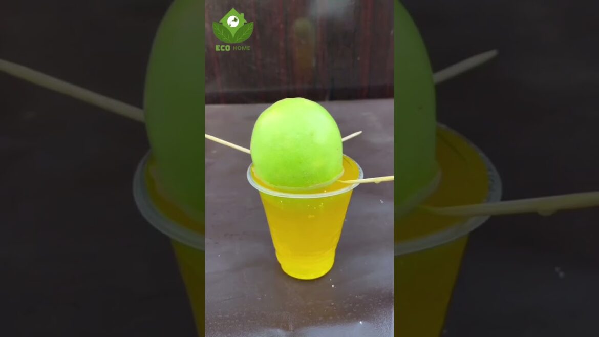 Tips for your garden #gardentips #gardenplants #garden #gardenideas #indoorplantingtips