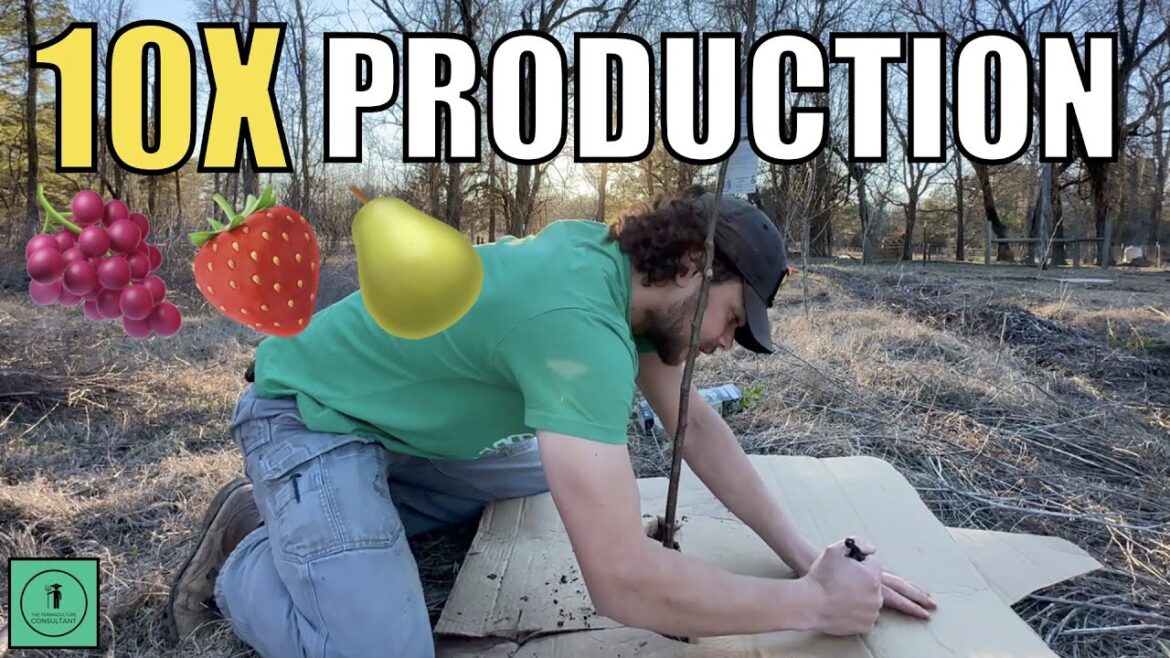 Quick and Easy Permaculture Fruit Tree Guild from Tractor Supply!