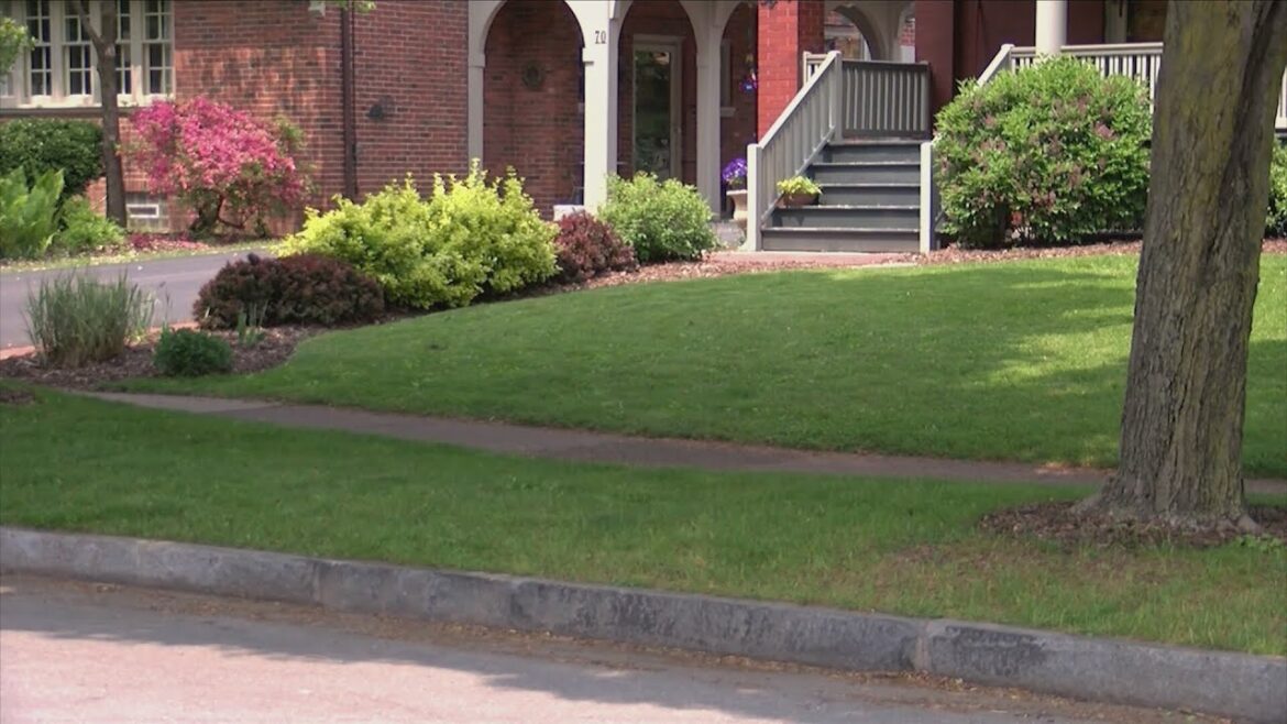 What you should do with your lawn and garden as we head into fall