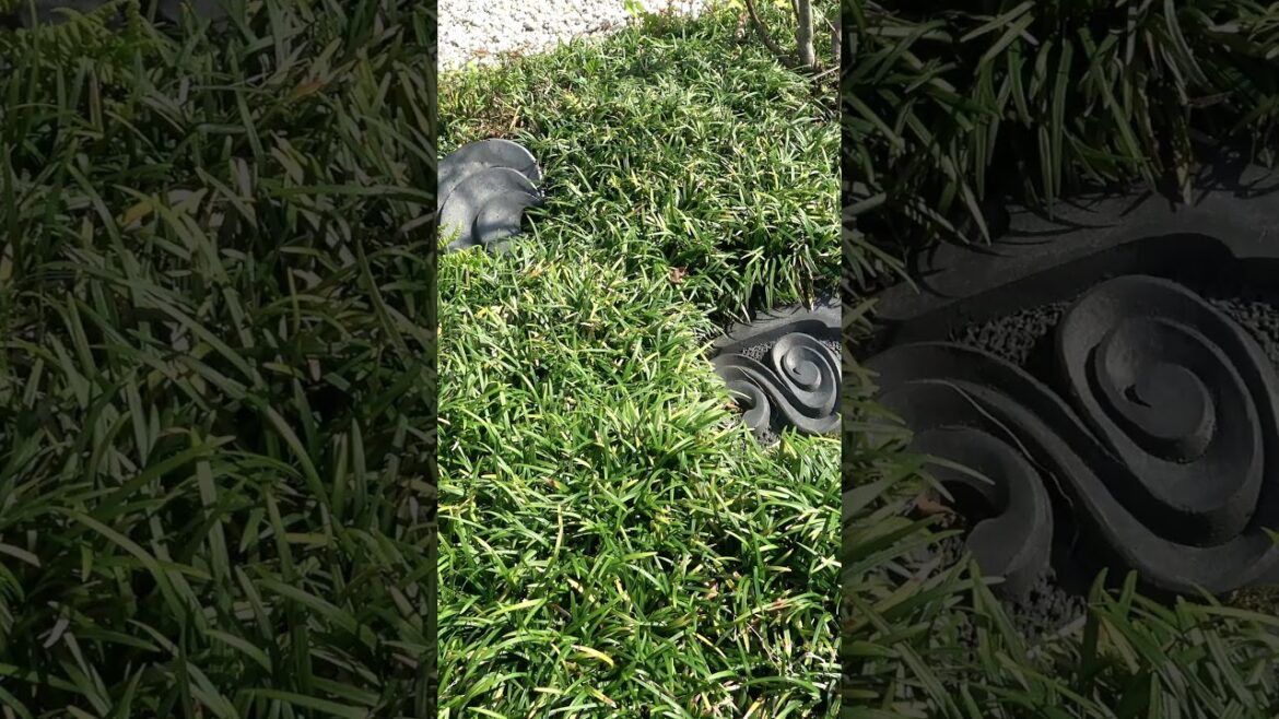 Small Japanese Garden Design #shorts