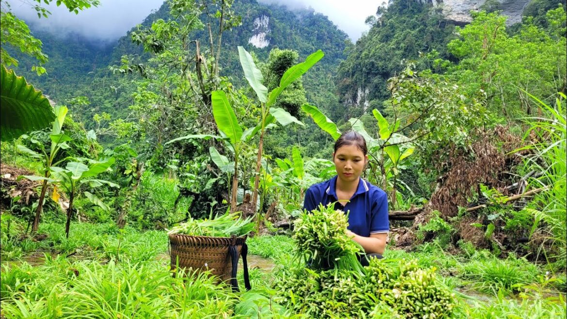 Harvest chives to sell at the market and do vegetable gardening around the farm