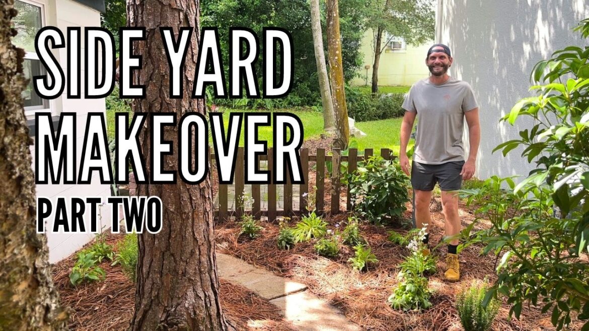 Side Yard Transformation Part 2 | Native Wildflower Garden | Yard Makeover // The Gardener’s Garden Side Yard Transformation Part 2 | Native Wildflower Garden | Yard Makeover // The Gardener's Garden