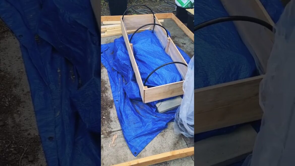 Building a pvc greenhouse container garden #gardenstructure  #hoophouse #containergarden