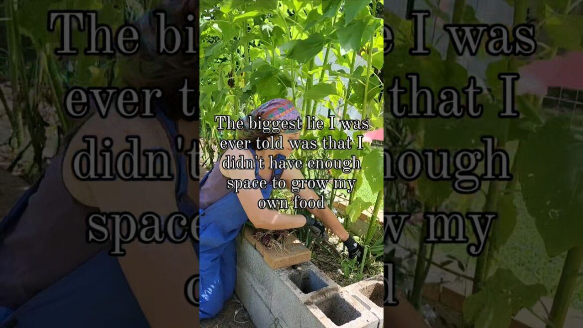 Grow Food Anywhere With These Tips! Grow Food Anywhere With These Tips!