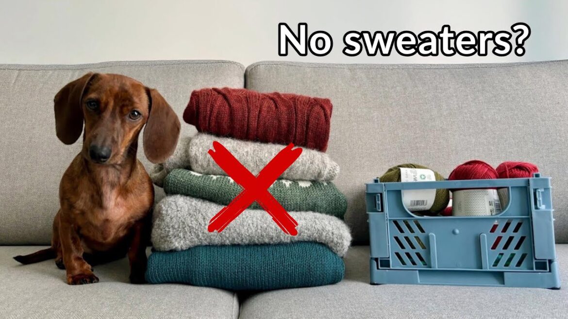 Fall knitting plans: No sweaters this sweater weather season?