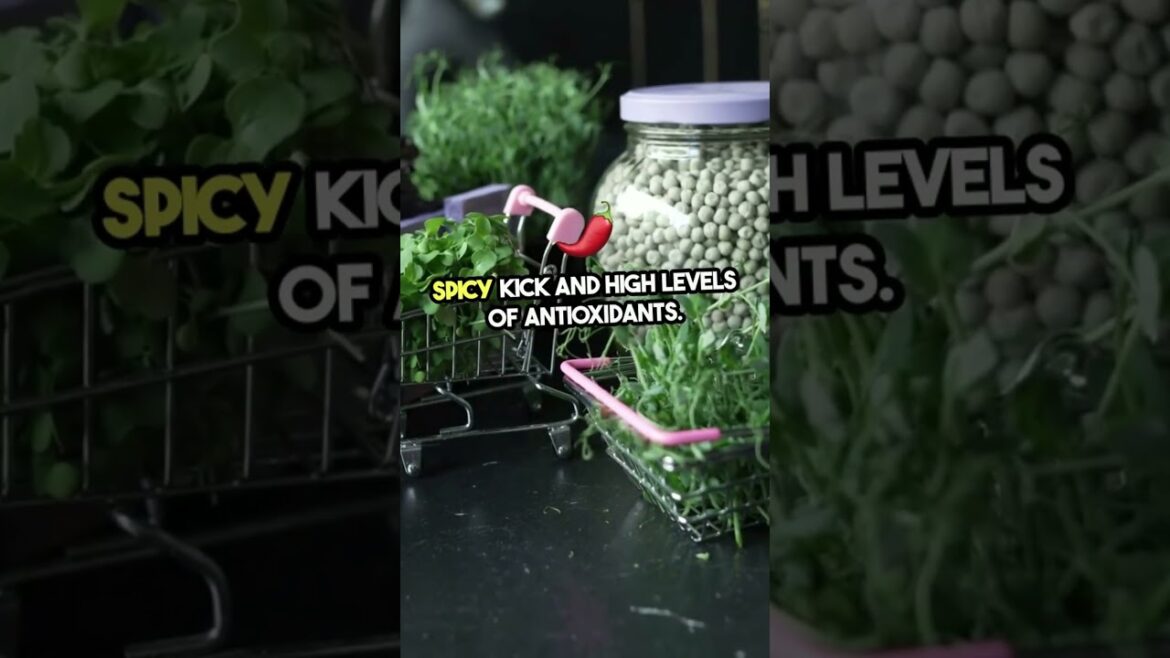 Top 5 Nutrient Packed Microgreens You Need!