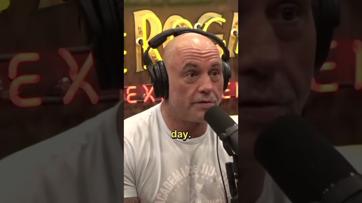 What Do Men Want?Andrew Huberman & Joe Rogan #shorts What Do Men Want?Andrew Huberman & Joe Rogan #shorts