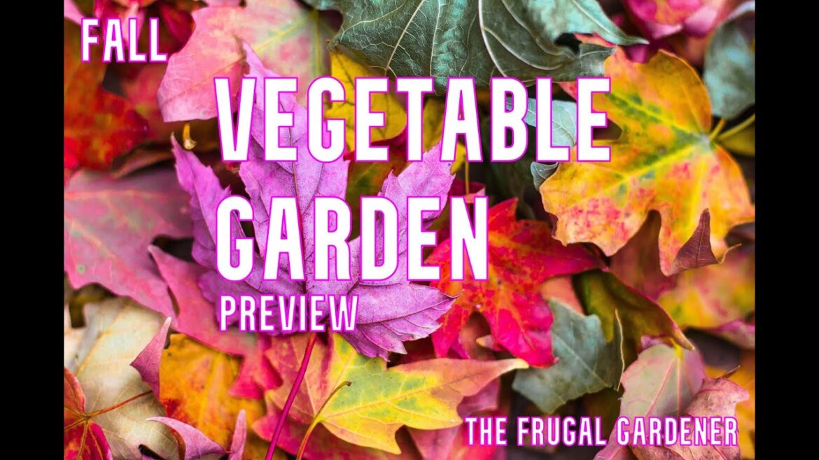 Fall Garden Preview