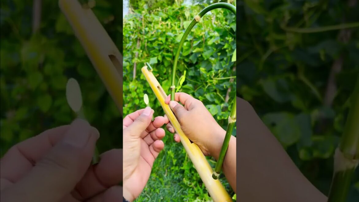 Amazing ! bamboo creations with Butterfly #bamboo #shorts  #diy #life #short #shortvideo #shortsfeed