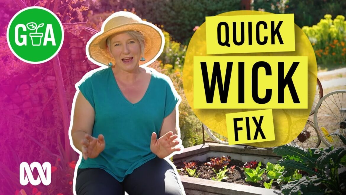 Build an Easy Wicking Bed | Gardening 101 | Gardening Australia