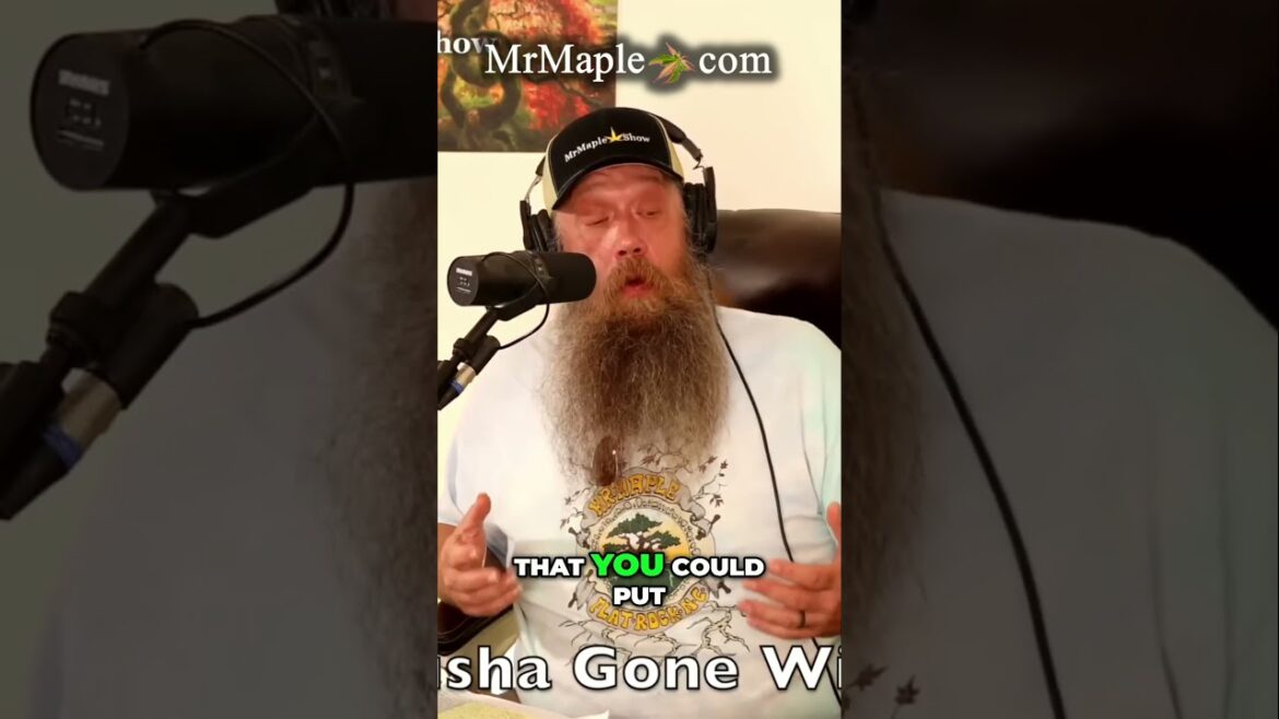 The Ultimate Showstopper Tree for Your Garden The Ultimate Showstopper Tree for Your Garden