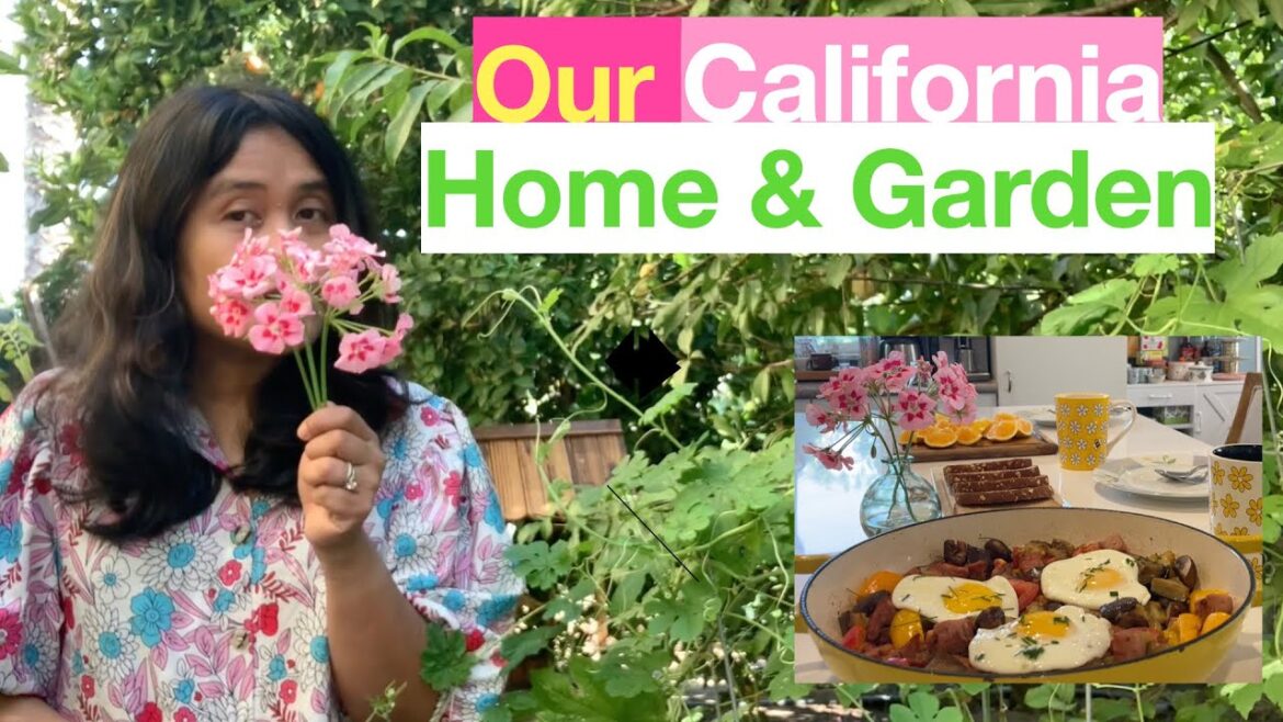 Our California Home, Garden and Life Vlog Our California Home, Garden and Life Vlog