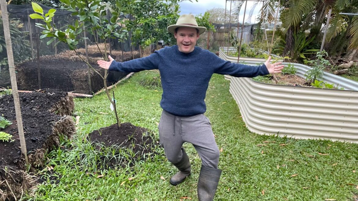 Marty’s Garden Backyard Integrated Edible Garden Worms and Chickens