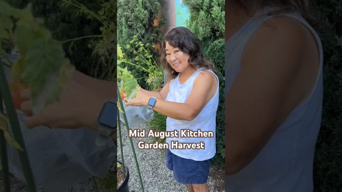 Bountiful Container Garden Harvest