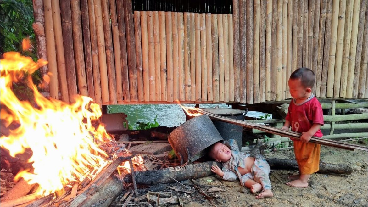 Harvesting papaya for sale - vegetable gardening - cooking | Daily life of a single mother