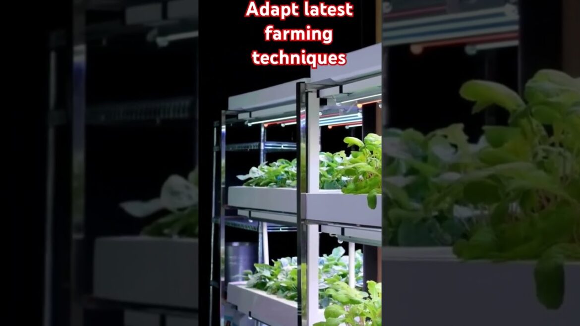 The Future of Farming: 2024's Latest Agriculture Techniques