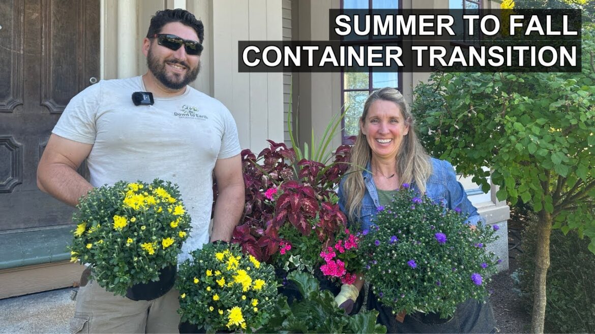 Easy Tips To Refresh Your Summer Planters for Fall 🪴🍁