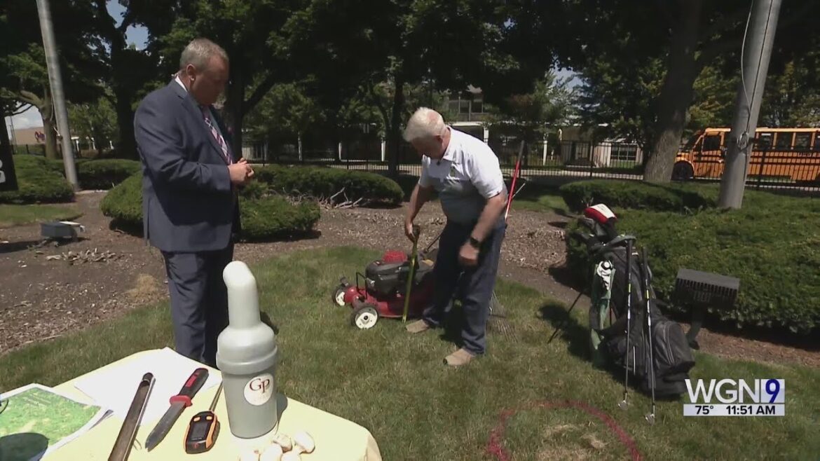 The Gardener's Toolbox: Tips for lawn care this season