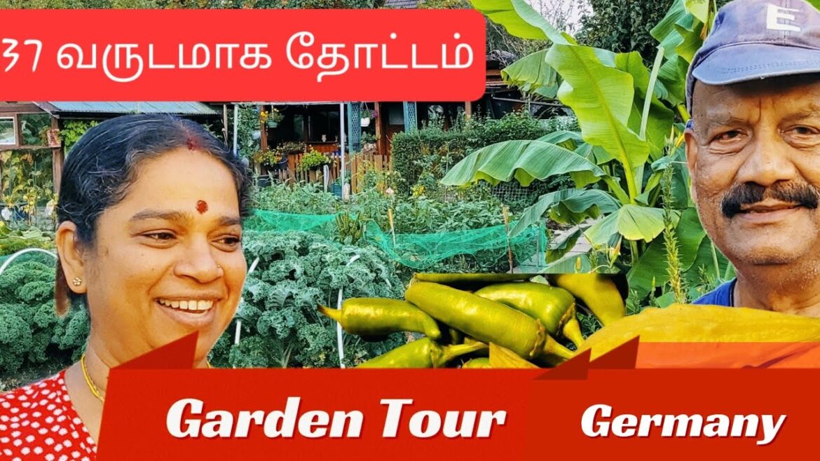 Germany யில்  தோட்டம் | Home Garden Tour Germany  | Gerden growing Vegetable Gardening in Germany |