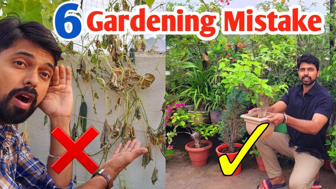 95% People do these mistake in Gardening ( Gardening Tips to grow plants) 95% People do these mistake in Gardening ( Gardening Tips to grow plants)