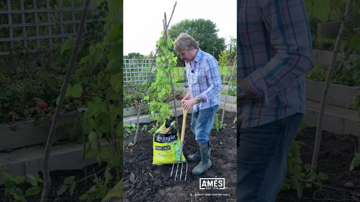 David Domoney: AMES Garden Tips - Add organic matter to improve soil