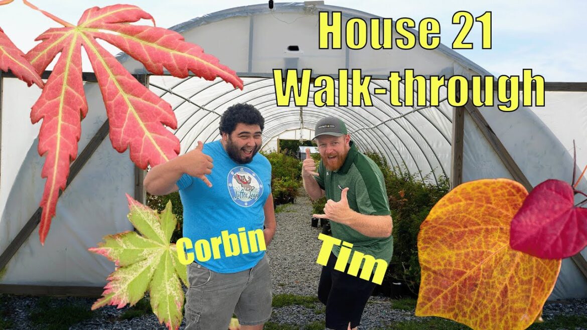 Japanese Maple Nursery Tour w/ Tim & Corbin in House 21