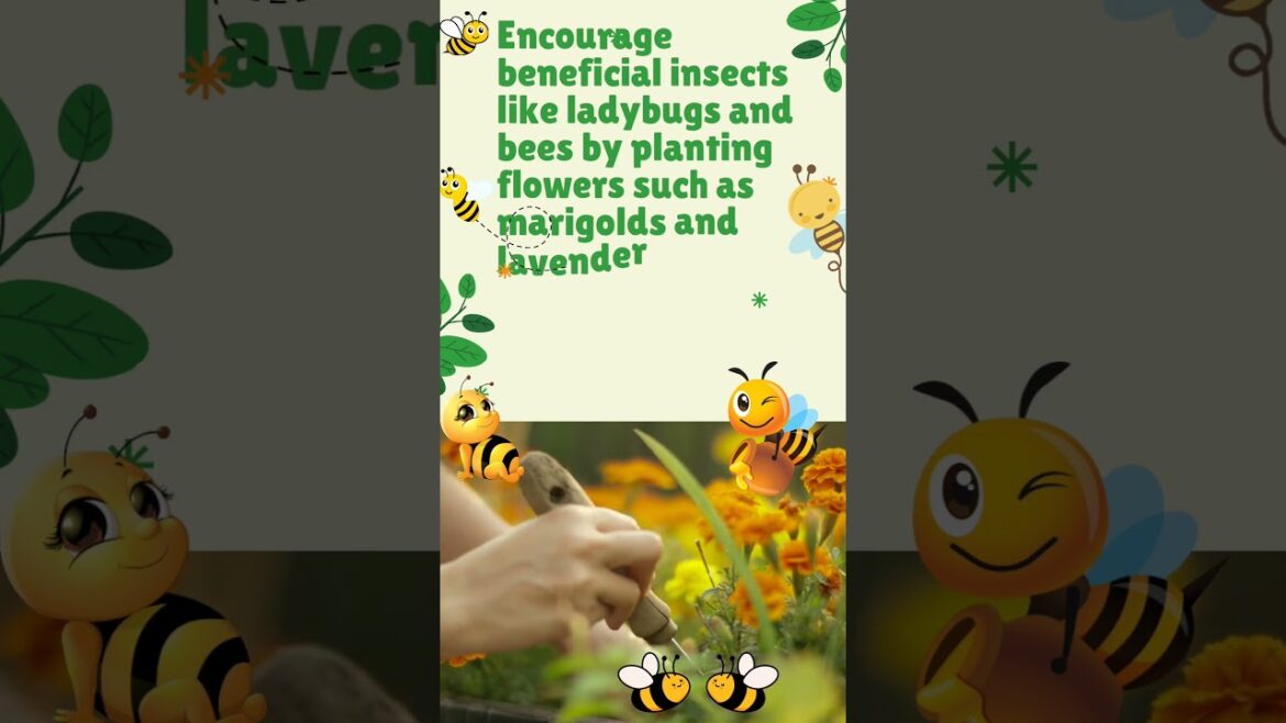 Gardening tips | How to maintain a home garden | #gardeningtips #gardening #garden #tips #organic