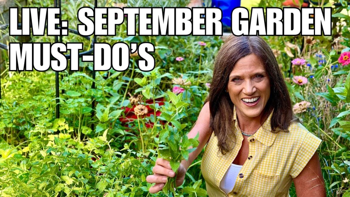 CaliKim: 🍁LIVE: Fall into September Gardening: Your Essential To-Do List 🍁LIVE: Fall into September Gardening: Your Essential To-Do List