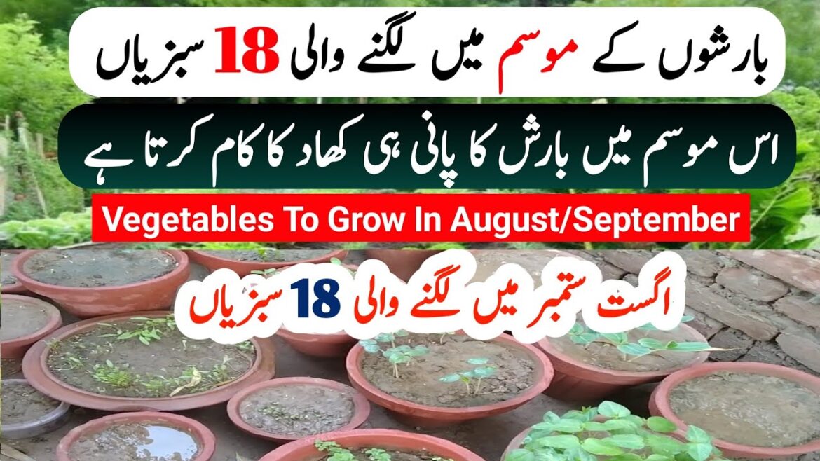 Grow These Fast Growing Vegetables In Monsoon Season / August to September